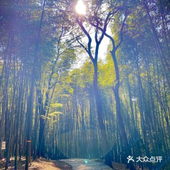 十里琅珰原指天竺山东，龙井村西，梅家坞村东北的山岭