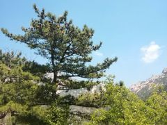 -崂山巨峰游览区