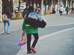 -宝安西湾红树林湿地公园