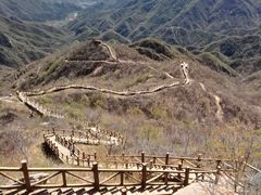-大岭沟猕猴桃谷风景区