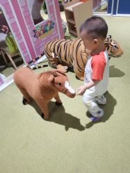 -幻贝家儿童乐园(杭州远洋乐堤港店)