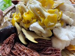 -菌极鲜野生菌火锅店(阳明祠店)