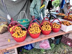 -塘栖枇杷特色园区