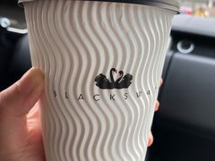 -BLACKSWAN黑天鹅(环球店)