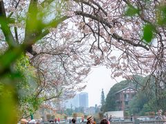 -红星桥(地铁站)