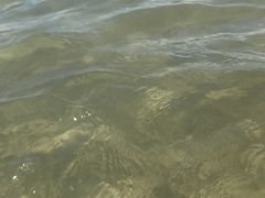 -汕头中海黄金海岸水上乐园