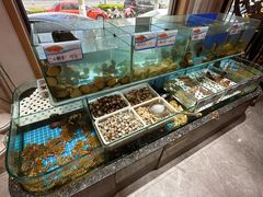 -渔码头食府·20年蓬莱老字号(登州路店)