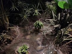 -正佳自然科学博物馆