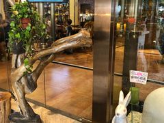 -more than meow吴止猫主题餐厅(承德 中船汇店)