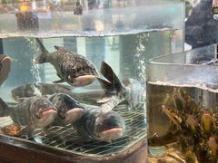 -湘轩·土菜研究院(光大店)