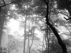 -梧桐山风景名胜区