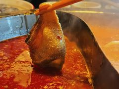 -蜀大侠火锅(总府路店)