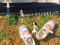 -飞凤山奥体公园