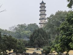 -江心屿景区