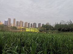 -洋湖国家湿地公园