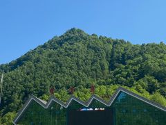 -牛背梁国家森林公园