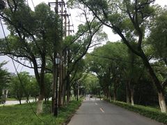 -南昌青山湖风景区