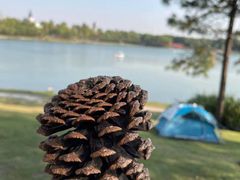 -美兰湖景区