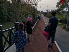 -上海长兴岛郊野公园