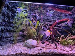 -上海海洋水族馆