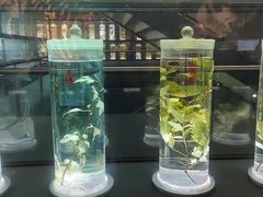 -广东中医药博物馆