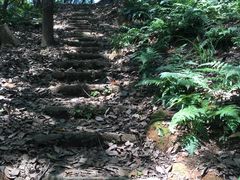 -马王堆汉墓遗址