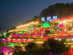 -枇杷园食为鲜火锅(南山店)