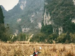 -明仕田园