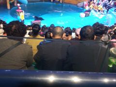 -烟台海昌鲸鲨海洋公园