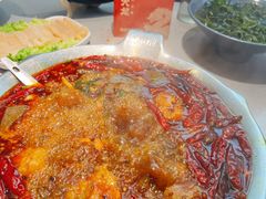 -渝大龙重庆火锅(温泉月亮湾店)
