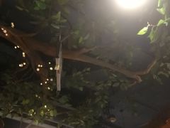 大堂-常和州·夜宵大排档(常州单店)