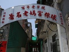 -老妈宫粽球