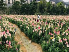 -清远熹乐谷温泉度假酒店