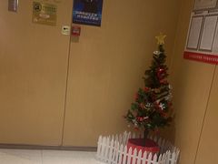 -海底捞火锅(青山湖万达夜宵主题店)