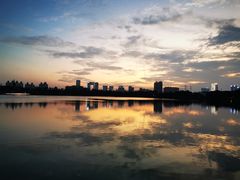 -海珠湖公园