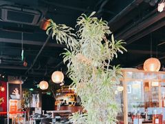 大堂-安妮意大利餐厅(日坛店)
