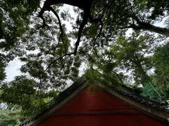 -潭柘寺景区