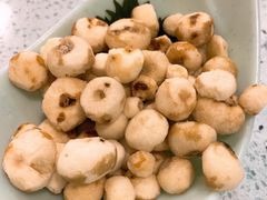 阳江珍珠马蹄-烹然四季椰子鸡火锅(团结湖总店)