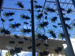 -墨尔本博物馆(Melbourne Museum)