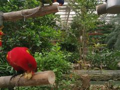 -南宫五洲植物乐园