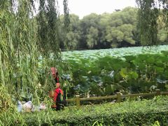 -长春市南湖公园