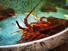-益健名厨海鲜城(夏湾店)