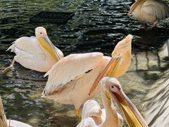 -水上乐园·欢乐世界