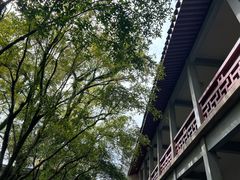 -天一阁博物院