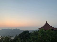 -枸杞岛