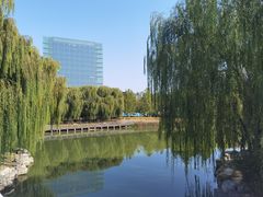 -大兴滨河森林公园