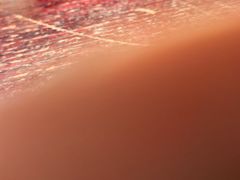 -蓝田九大碗民俗食府(蓝田店)