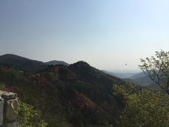 -木兰云雾山