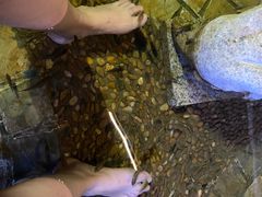 -泉城欧乐堡戏水湾艺术养生温泉