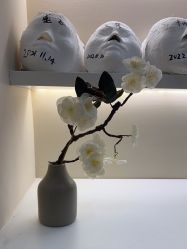 -颜和骨正·明哲式骨相美学整骨